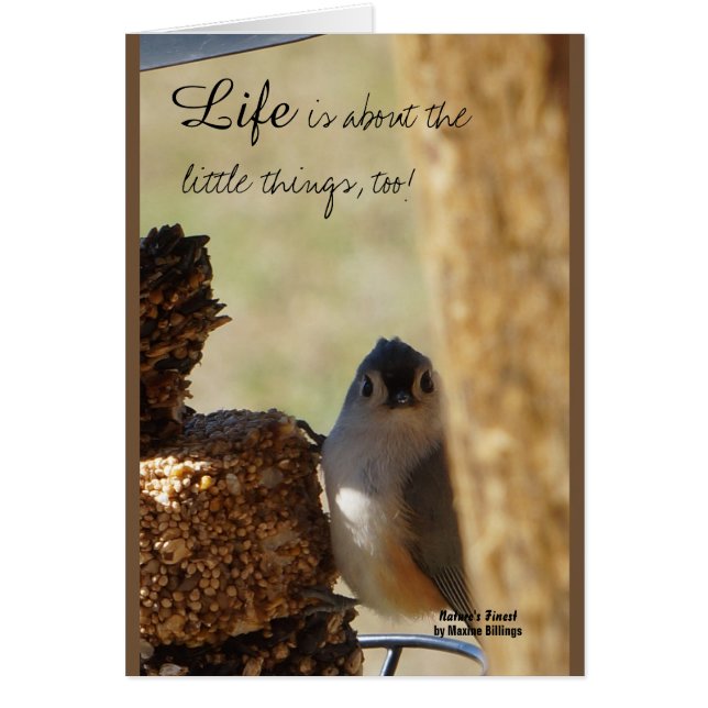 Petites choses (Devant)