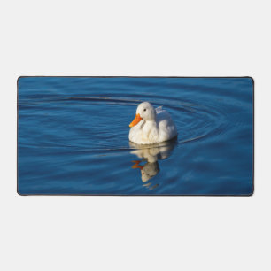 Petites réflexions de canard blanc