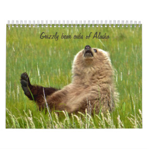 Petits animaux d'ours gris de calendrier de