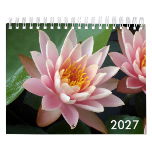 Petits calendriers de nénuphars 2027