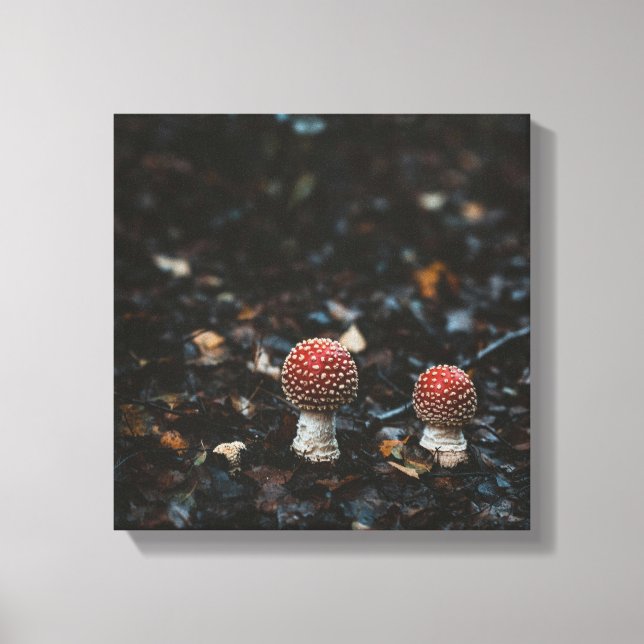 Petits champignons de la forêt toile Imprimer (Recto)