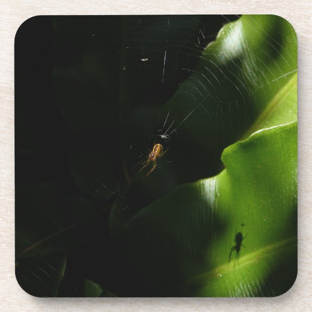 Petits Dessous de verre d'araignée (Devant)