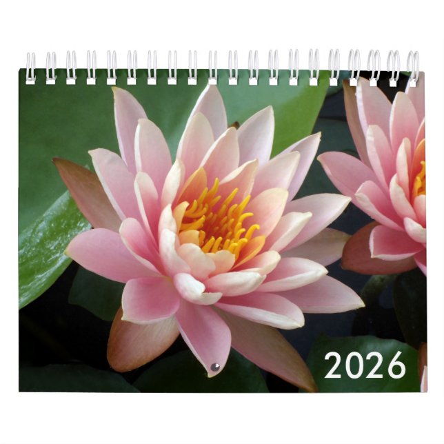 Petits Nénuphars Calendrier 2026 (Protection)