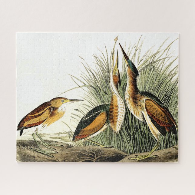 Petits oiseaux de Heron Puzzle Animaux sauvages (Horizontal)