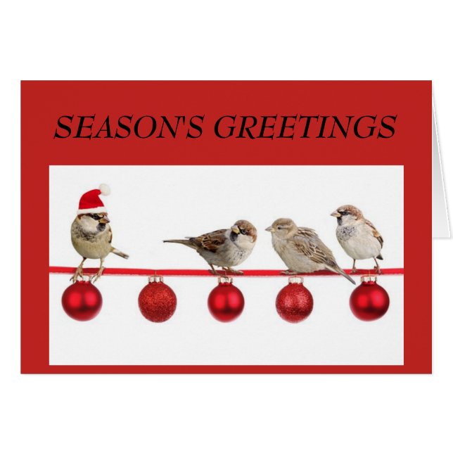 Petits oiseaux sur la carte de voeux de Noël rouge (Devant horizontal)