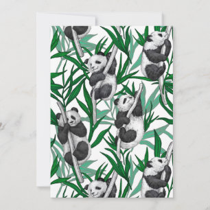 Petits panda sur