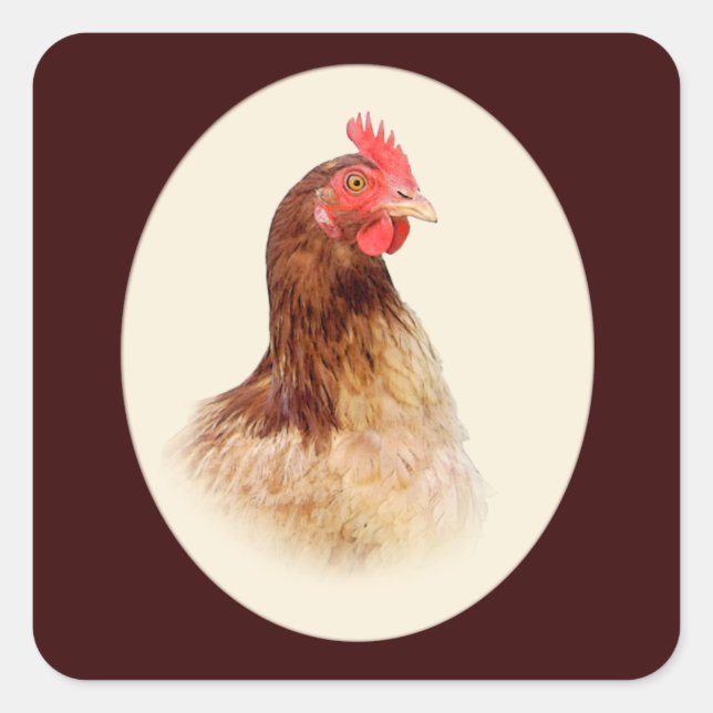 Petits Stickers Hen Brown (Devant)