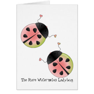 Pétoncle Ladybug