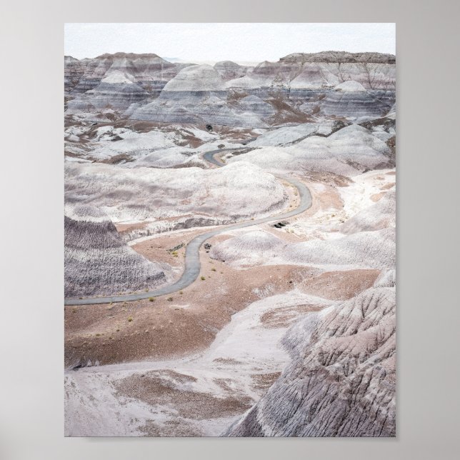 Petrified Forest, Desolate Landscape Photo Poster (Devant)