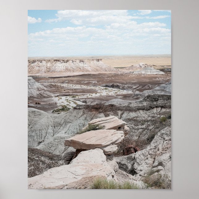 Petrified Forest Print Poster Paper (Semi-Gloss) (Devant)
