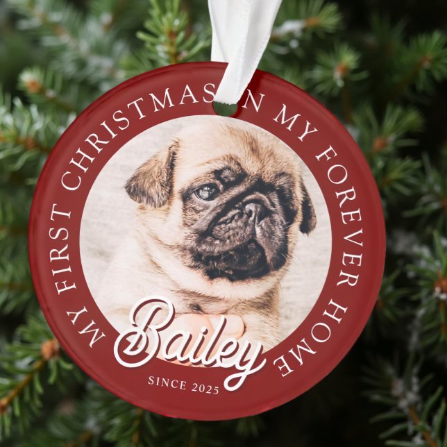 Pet's My First Christmas In Forever Home Modern (Créateur téléchargé)