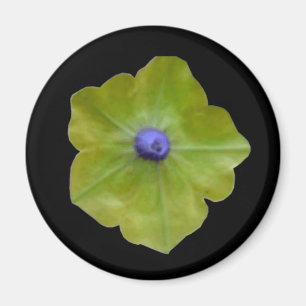 Pétunia - Aimant vert et bleu