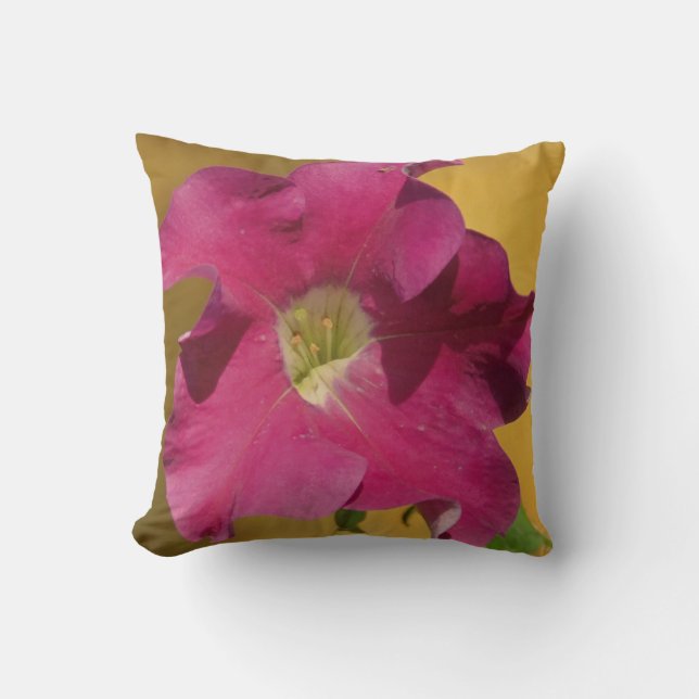 Pétunia rose fleur, presque solide coussin rose (Recto)