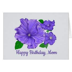 Petunia violet, Joyeux Anniversaire, Maman
