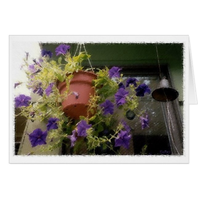 Petunias (Devant horizontal)