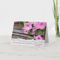 Pétunias rose avec carte Verse Bible