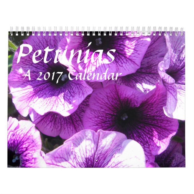 Pétunias - un calendrier 20XX (Protection)