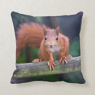 Peu coussin rouge
