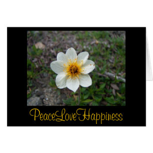 Peu de fleur blanche