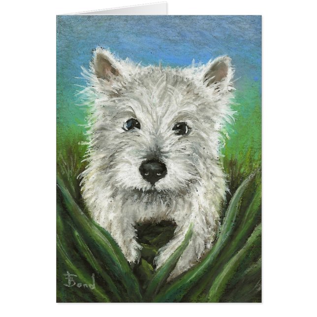Peu de Westie jouant dans l'herbe (Devant)