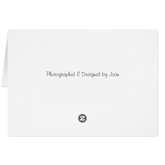 Peuplier (Dos Horizontal)