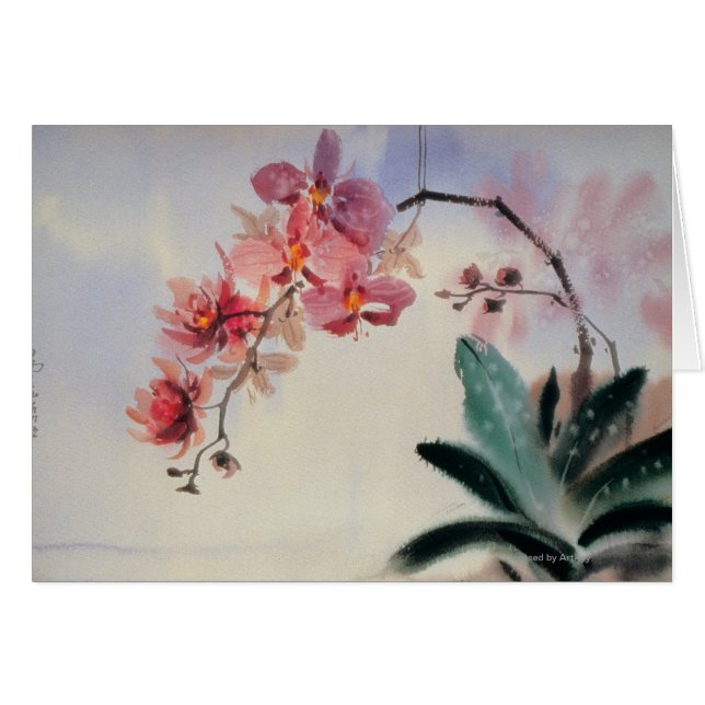 Phalaenopsis (Devant horizontal)