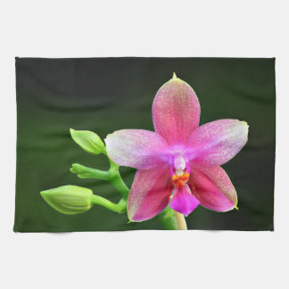 Phalaenopsis liodoro serviette de cuisine 40,6cm x