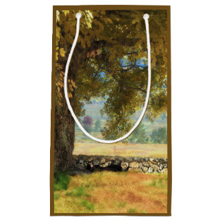 Phantastes : Sous le sac cadeau de l'arbre de hêtr