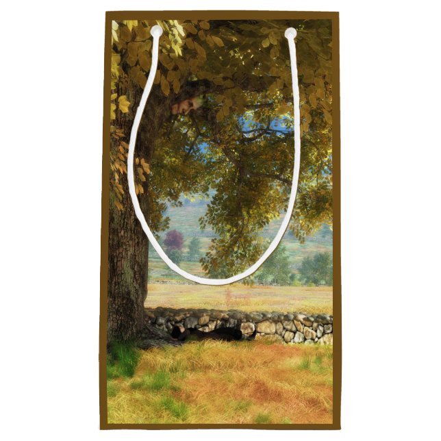 Phantastes : Sous le sac cadeau de l'arbre de hêtr (Devant)