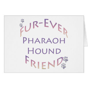 Pharaon Hound Furever