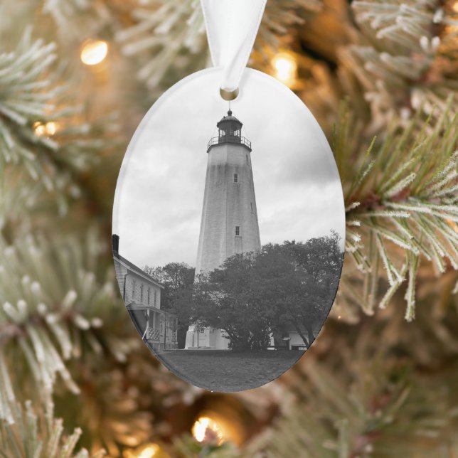 Phare de Sandy Hook (Arbre)