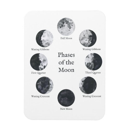 Phases De La Lune Magnet Du Cycle Lunaire Zazzle Fr