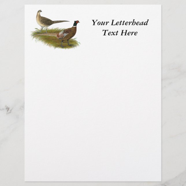 Pheasant : Paire Ringneck (Devant)