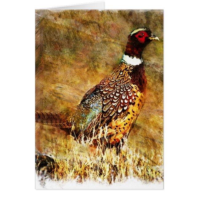 Phesant grunge (Devant)