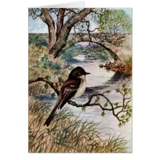 Phoebe et pont en pierre au-dessus de crique