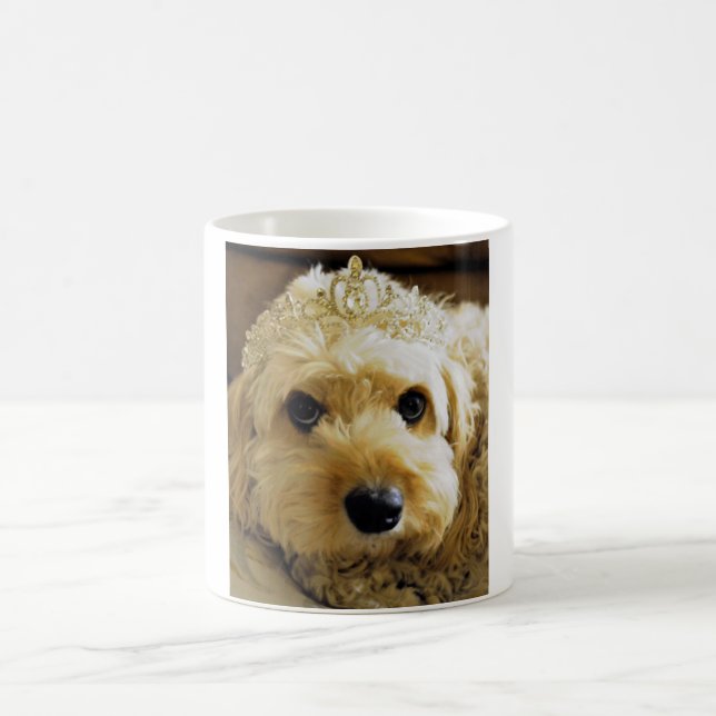 PhoebethePrincess, Cavapoo sur la tasse blanche (Centre)