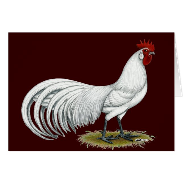 Phoenix : Coq blanc (Devant Horizontal)