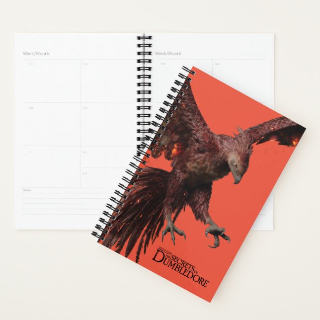 Phoenix Flying Graphic (Devant avec enveloppe)