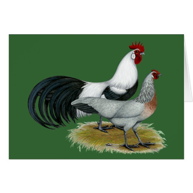 Phoenix :  Paires argentées de Duckwing (Devant horizontal)