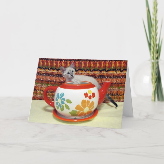 Phoenix - Test des eaux - Carte de voeux (Devant)