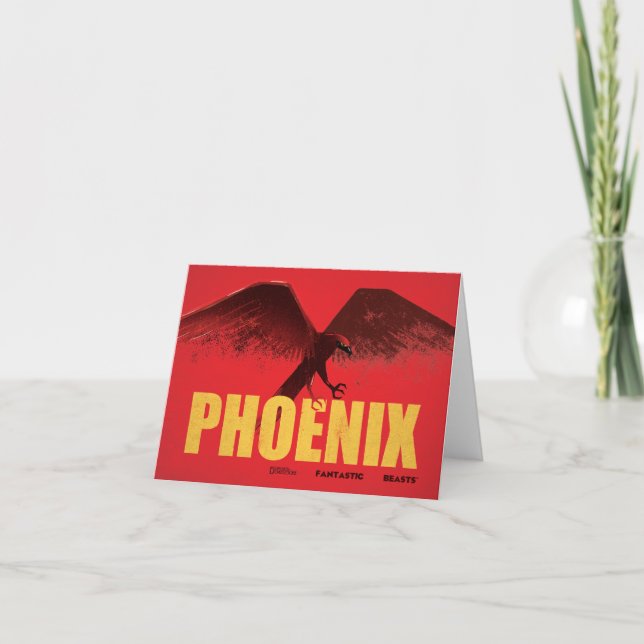 Phoenix Vingate Graphic (Devant)