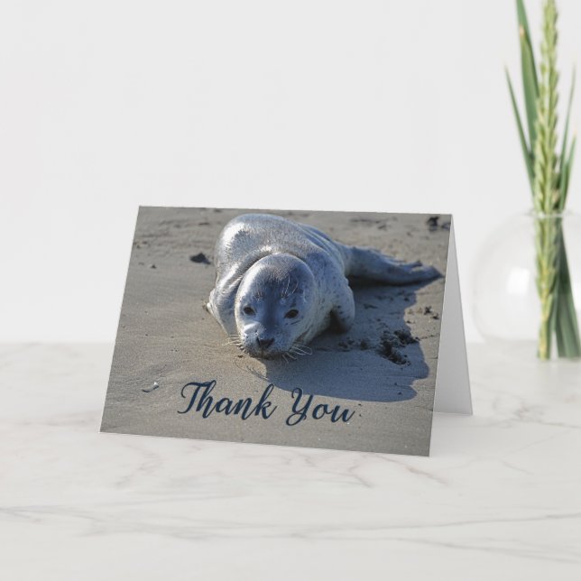 Phoque de bébé sur la plage Carte de remerciements (Devant)