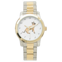 phoque point siamese montre chat