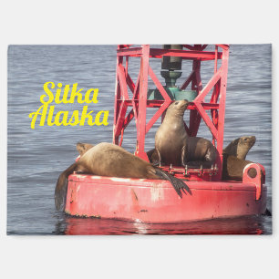 Phoques du port - Sitka Alaska Magnet rectangulair