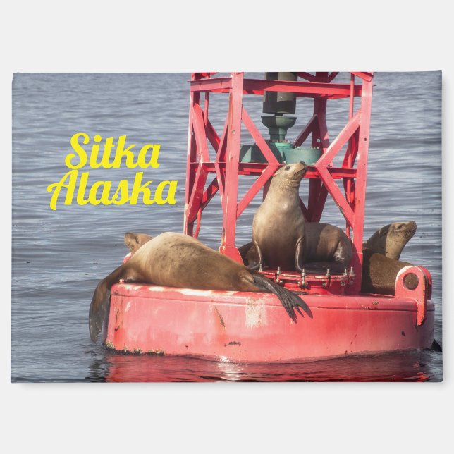 Phoques du port - Sitka Alaska Magnet rectangulair (Recto)