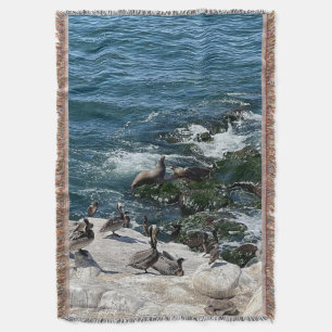 Phoques et oiseaux Jeter la couverture