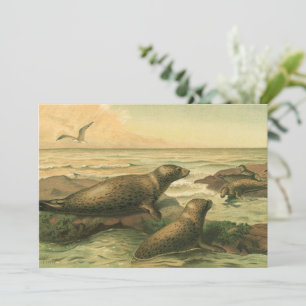 Phoques léopards, Animaux aquatiques vintage Vie m