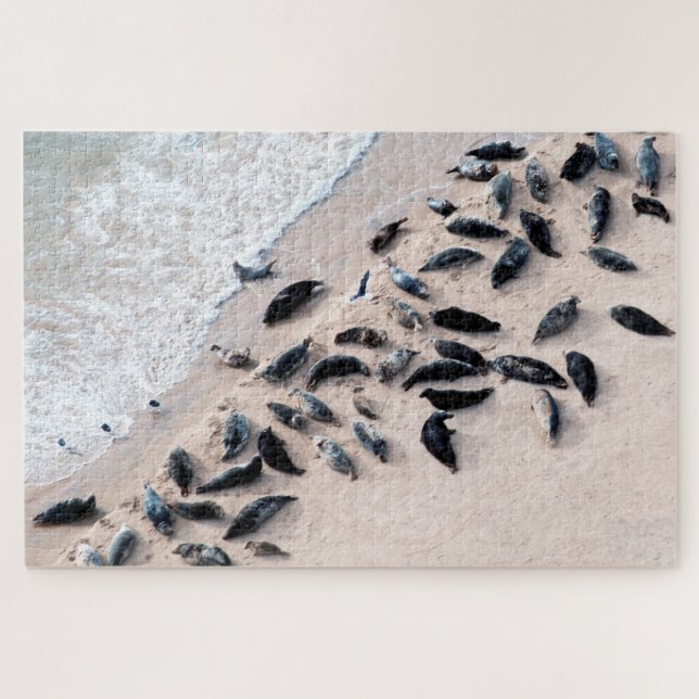 Phoques reposant sur le rivage, Jigsaw Puzzle (Horizontal)
