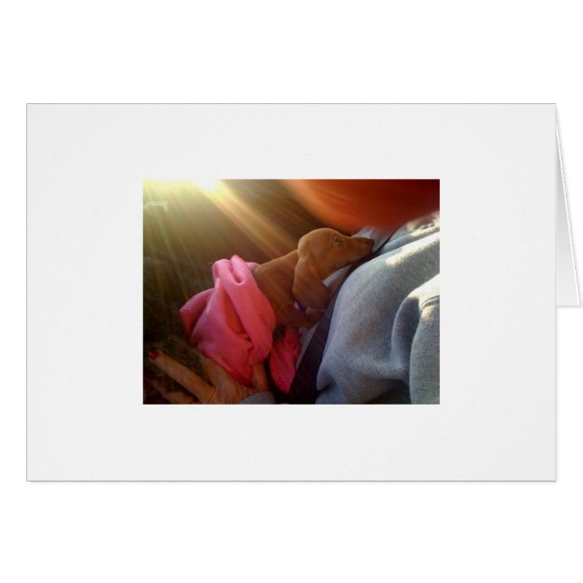 photo[1] (Devant horizontal)