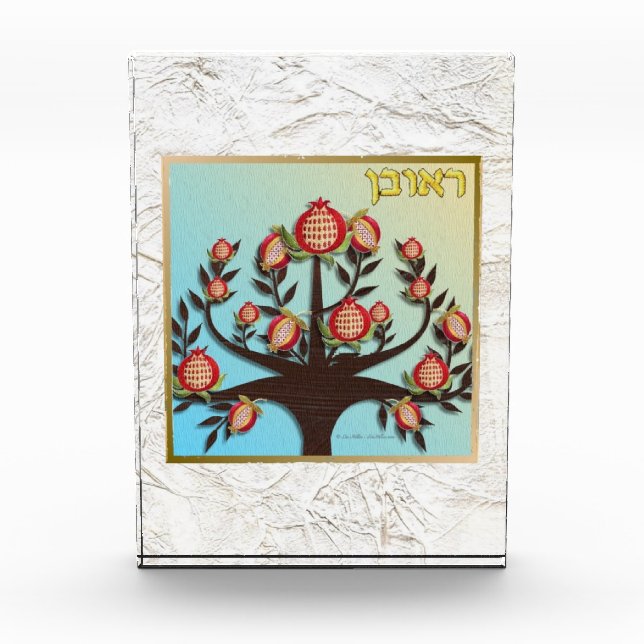 Photo 12 Tribus d'Israël Ruben Art bloc acrylique (Devant)